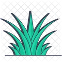 Aloe Vera Immergrun Saftig Symbol