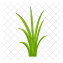 Grass Nature Green Symbol