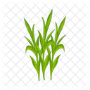 Grass Nature Green Symbol