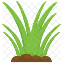 Grass  Icon