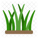 Grass Lawn Lawncare Symbol