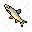 Grass Fish  Icon