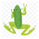 Frog Toad Bullfrog Icon