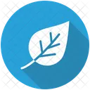 Green Leaf Life Icon