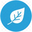 Green Leaf Life Icon