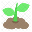 Green  Icon