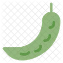 Green Chili  Icon