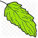 Green Leaf Leaf Foliage Icon