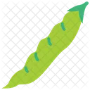 Green Pea Fresh Vegetable Icon