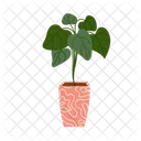 Botanical House Plant Potted Icon