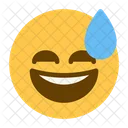 Grin Smile Happy Icon