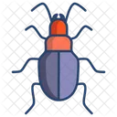 Ground Beetle  Icon