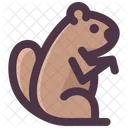 Groundhog Day Groundhog Animal Icon