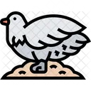 Grouse  Icon