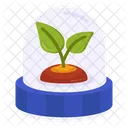 Mud Plant Sprout Growing Plant Icon