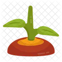 Mud Plant Sprout Growing Plant Icon