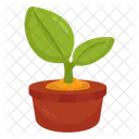 Mud Plant Sprout Growing Plant Icon