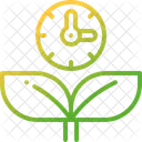 Growing plant  Icon