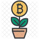 Growth  Icon