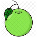 Guava  Icon