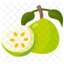 Guava  Icon