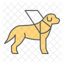 Guide Dog Labrador Icon