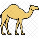 Gulf Camel Camel Desert Animal アイコン