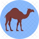 Gulf Camel Camel Desert Animal アイコン