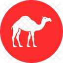 Gulf Camel Camel Desert Animal アイコン