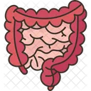 Gut Intestine Abdominal Icon