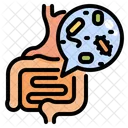 Gut Microbiota  Icon