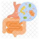 Gut Microbiota  Icon