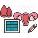 Gynecology  Icon