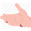 Hand  Icon