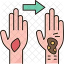 Hand  Icon