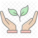 Hand Holding Plant Lineal Color Icon Icon