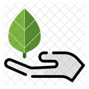 Hand Leaf  Icon