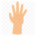 Hand Line Hand Palm Icon