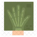 Hand X Ray  Icon