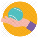 Handheld Ball  Icon