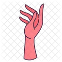 Hand Gesture Feminine Icon