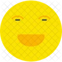 Happy Face  Icon