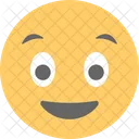 Happy Surprised Emoticon Icon