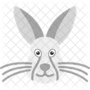 Hare Rabbit Animal Icon