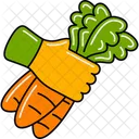 Harvest carrots  Icon