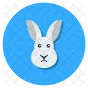 Hase  Symbol