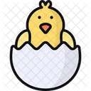 Hatch Egg Chick Icon