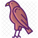 Hawk Ecology Nature Icon