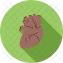 Heart Heatbeat Pulse Icon