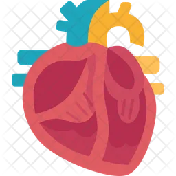 Heart  Icon